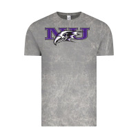 Cloud Rock Niagara Purple Eagles Vintage Tee - linhVisuals