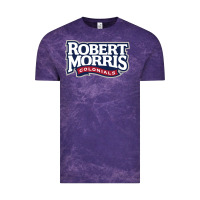 Cloud Purple Robert Morris Colonials Wordmark Vintage Tee - linhVisuals