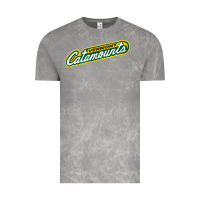 Cloud Rock Vermont Catamounts Athletics Wordmark Vintage Tee - linhVisuals