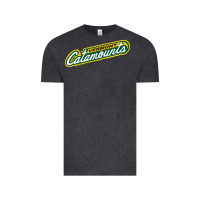 Vermont Catamounts Athletics Wordmark Vintage Tee | Teevron