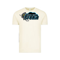 Vintage Arctic quad city storm Vintage Tee - linhVisuals