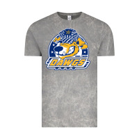 Roanoke Rail Yard Dawgs Vintage Tee | Teevron
