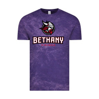 Cloud Purple bethany lutheran college vikings Vintage Tee - linhVisuals