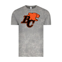 Cloud Rock BC Lions Vintage Tee - linhVisuals