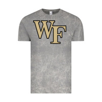 Cloud Rock the wake forest demon deacons Vintage Tee - linhVisuals