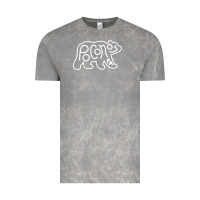 Cloud Rock poconos pennsylvania pocono pa bear travel animal Vintage Tee - linhVisuals