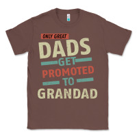 Chestnut Only Great Dads Get Promoted To Grandad Classic Tee - Bettercallsaul