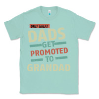 Seafoam Only Great Dads Get Promoted To Grandad Classic Tee - Bettercallsaul