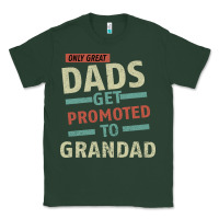 Sports Green Only Great Dads Get Promoted To Grandad Classic Tee - Bettercallsaul
