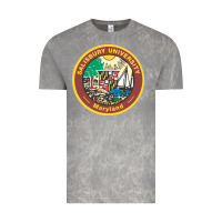 Cloud Rock salisbury university vectorized Vintage Tee - linhVisuals