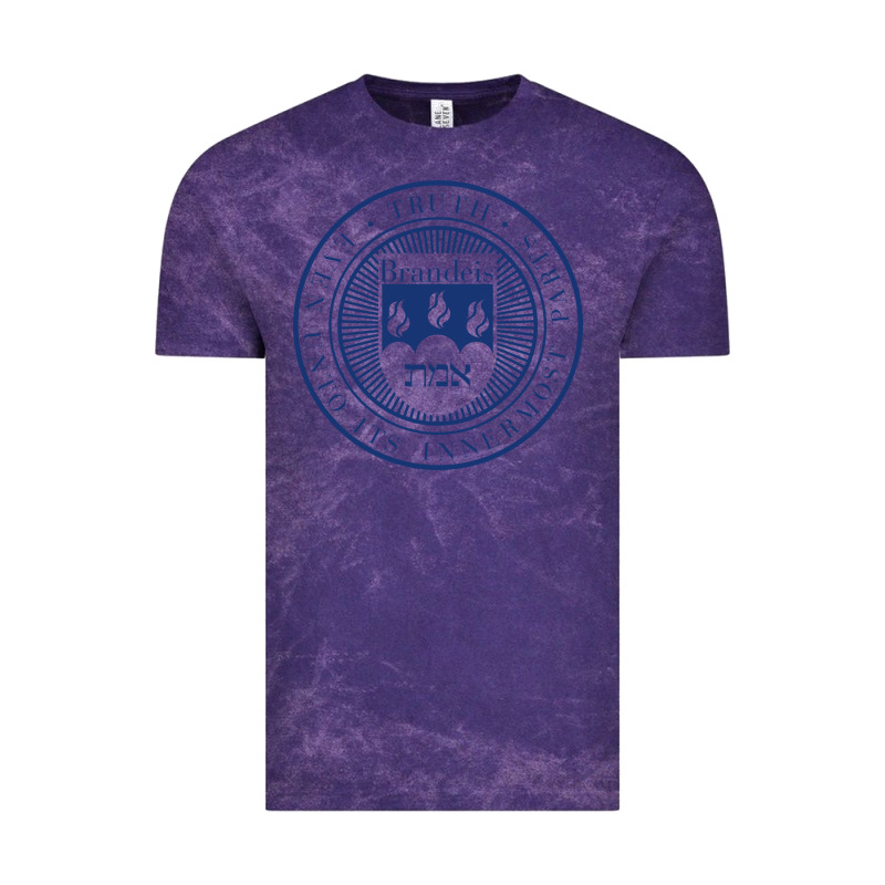 Brandeis University Vintage Tee by linhVisuals | Teevron