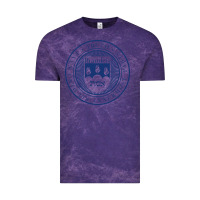 Cloud Purple Brandeis University Vintage Tee - linhVisuals