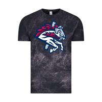 Cloud Black the-binghamton-rumble-ponies-pen Vintage Tee - linhVisuals