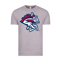 Vintage Zinc the-binghamton-rumble-ponies-pen Vintage Tee - linhVisuals