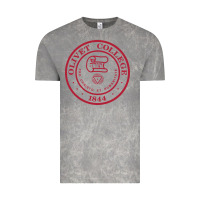 Cloud Rock olivet college vectorized Vintage Tee - linhVisuals