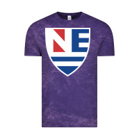 Cloud Purple new england college shield vectorized Vintage Tee - linhVisuals