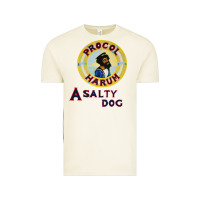 Vintage Arctic procol harum a salty dog 103813862 Vintage Tee - linhVisuals