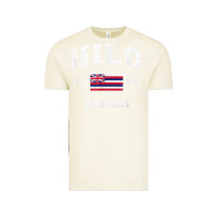 Vintage Arctic hilo hawaii hi vintage state athletic style t shirt Vintage Tee - linhVisuals