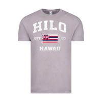 Vintage Zinc hilo hawaii hi vintage state athletic style t shirt Vintage Tee - linhVisuals