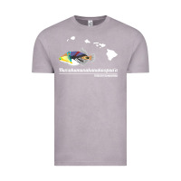 Vintage Zinc humuhumunukunukuapua'a hawaii state fish t shirt Vintage Tee - linhVisuals
