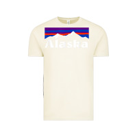 Vintage Arctic alaska retro vintage mountains & outdoors wilderness state Vintage Tee - linhVisuals