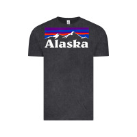 Vintage Black alaska retro vintage mountains & outdoors wilderness state Vintage Tee - linhVisuals