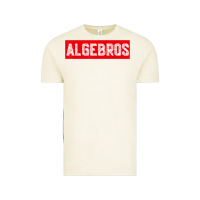 Vintage Arctic algebros design for math students or a present to ur teacher Vintage Tee - linhVisuals