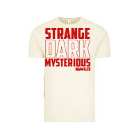 Vintage Arctic mrballen merch mr ballen Vintage Tee - linhVisuals