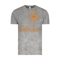 Cloud Rock oxford Vintage Tee - linhVisuals