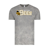 Cloud Rock salt lake city bees Vintage Tee - linhVisuals