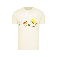 Vintage Arctic arizona grand canyon greetings souvenir tee shirt Vintage Tee - linhVisuals