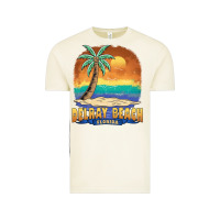 Vintage Arctic delray beach florida  vintage distressed souvenir long sleeve t shirt Vintage Tee - linhVisuals