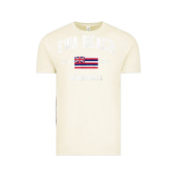 Vintage Arctic ewa beach hawaii hi vintage state athletic style t shirt Vintage Tee - linhVisuals