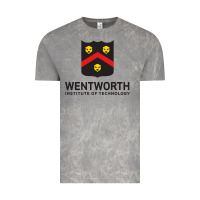 Cloud Rock wentworth standard Vintage Tee - linhVisuals