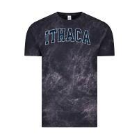 Ithaca New York Ny Vintage Sports Design Navy Design T Shirt Vintage Tee | Teevron