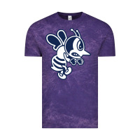 Cloud Purple ambrose university fighting bees Vintage Tee - linhVisuals