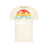 Vintage Arctic kauai hawaii chicken lover souvenir t shirt Vintage Tee - linhVisuals