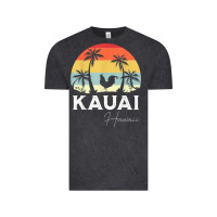 Vintage Black kauai hawaii chicken lover souvenir t shirt Vintage Tee - linhVisuals