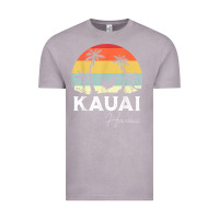 Vintage Zinc kauai hawaii chicken lover souvenir t shirt Vintage Tee - linhVisuals