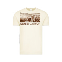 Vintage Arctic grand canyon Vintage Tee - linhVisuals