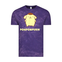 Pompompurin Character Front And Back T Shirt Vintage Tee | Teevron