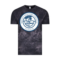 Cloud Black mount holyoke college Vintage Tee - linhVisuals