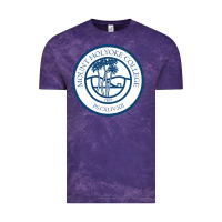 Cloud Purple mount holyoke college Vintage Tee - linhVisuals