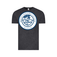 Mount Holyoke College Vintage Tee | Teevron