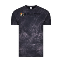 Cloud Black SUNY Buffalo State College Vintage Tee - linhVisuals