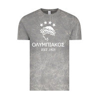 Cloud Rock olympiakos greek Vintage Tee - linhVisuals