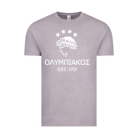 Vintage Zinc olympiakos greek Vintage Tee - linhVisuals