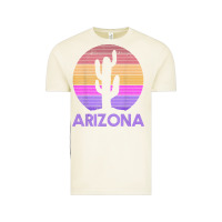 Vintage Arctic arizona   vintage retro cactus souvenir gift t shirt Vintage Tee - linhVisuals