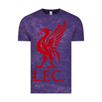 Liverpool Team Vintage Tee | Teevron