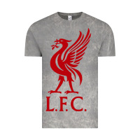 Cloud Rock LIVERPOOL TEAM Vintage Tee - linhVisuals